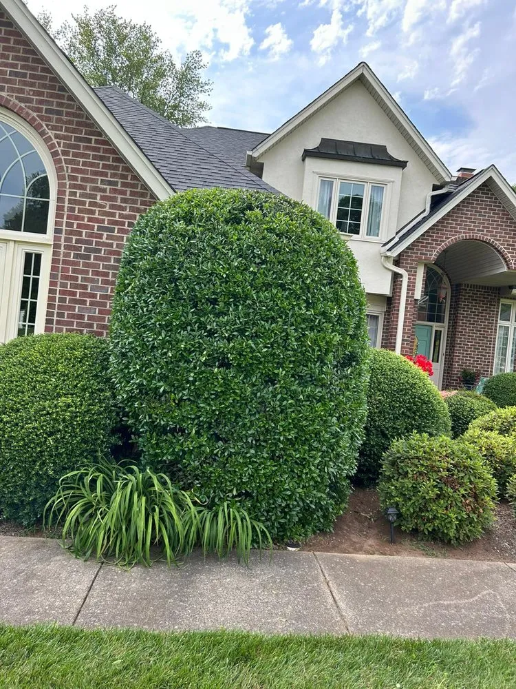 Affordable landscape design in Conover, NC by Gonzalez Lawn Care