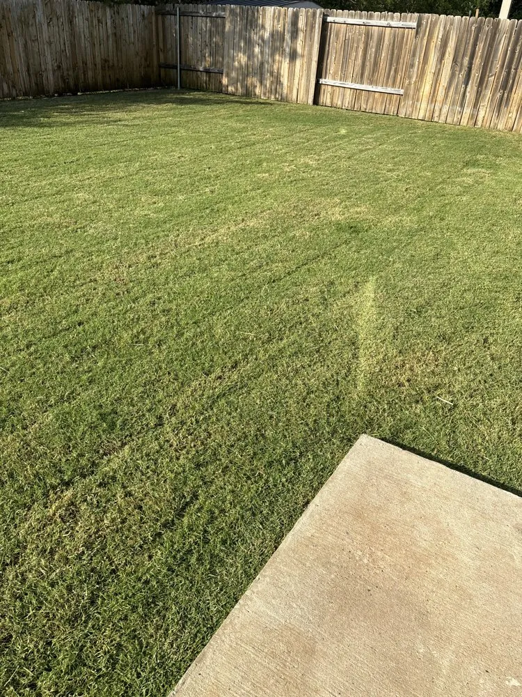 Trusted yard cleanup service for homes in McKinney, TX by Gonzalez Lawn Care