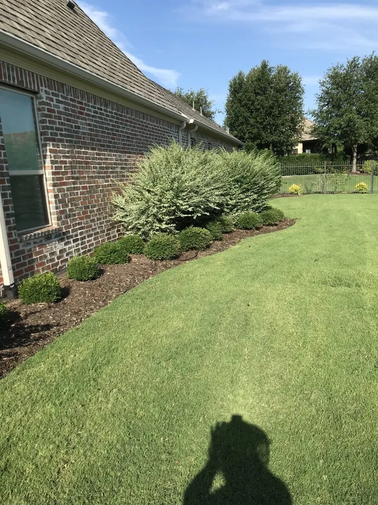 Professional yard cleanup service in McKinney, TX by Gonzalez Lawn Care