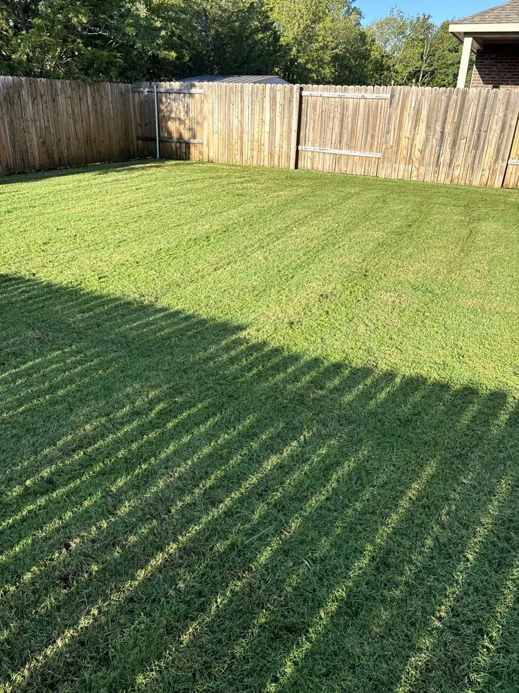 Affordable landscape installation in McKinney, TX by Gonzalez Lawn Care