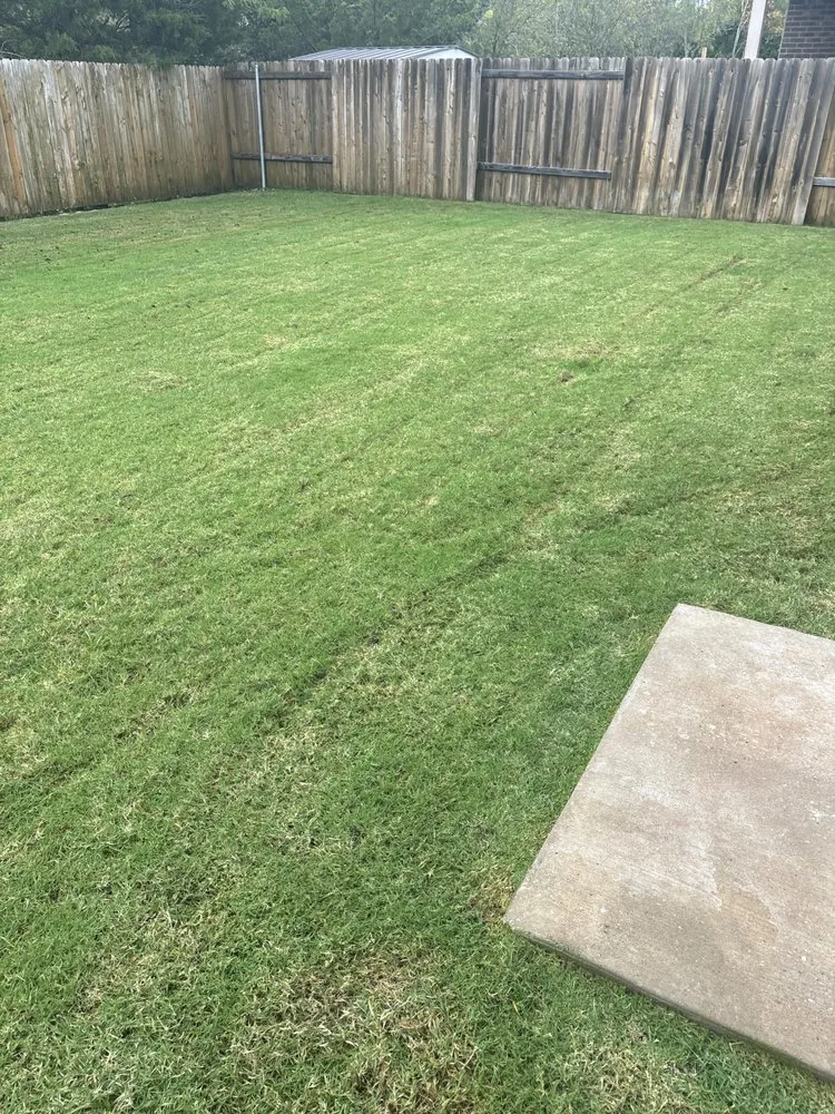 Affordable landscape design in McKinney, TX by Gonzalez Lawn Care