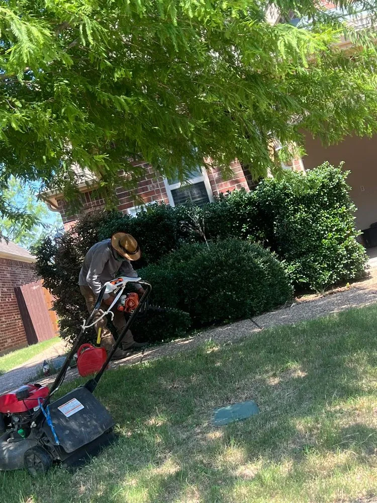 Top-rated yard cleanup service experts serving McKinney, TX - Gonzalez Lawn Care