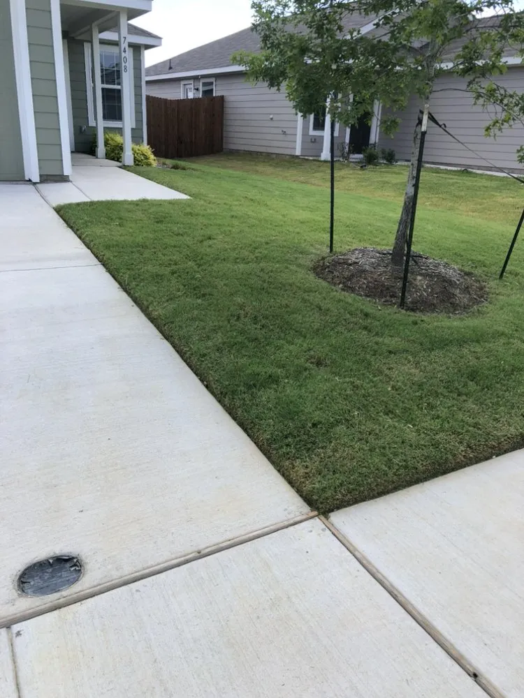 Trusted yard maintenance for year-round maintenance in McKinney, TX by Gonzalez Lawn Care