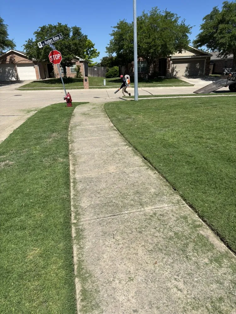 Local yard cleanup service in McKinney, TX - Gonzalez Lawn Care