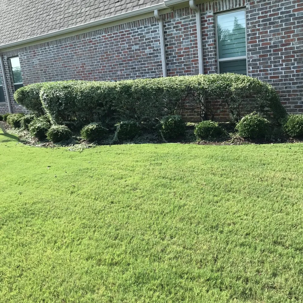 Affordable lawn mowing service in McKinney, TX - Gonzalez Lawn Care
