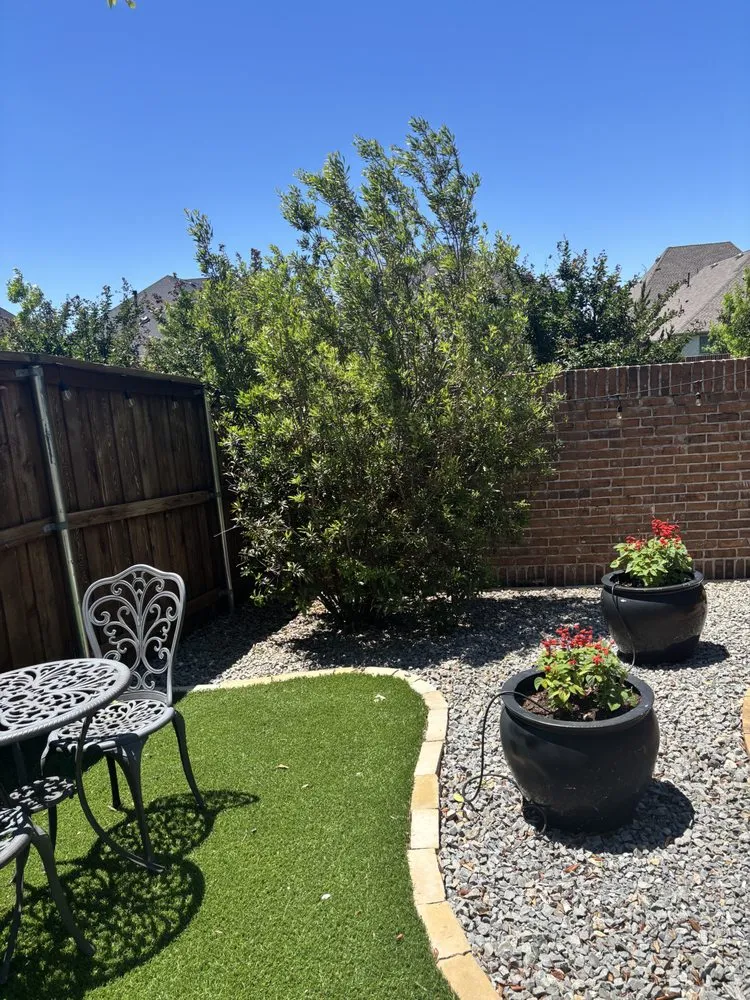 Professional yard cleanup service in McKinney, TX by Gonzalez Lawn Care