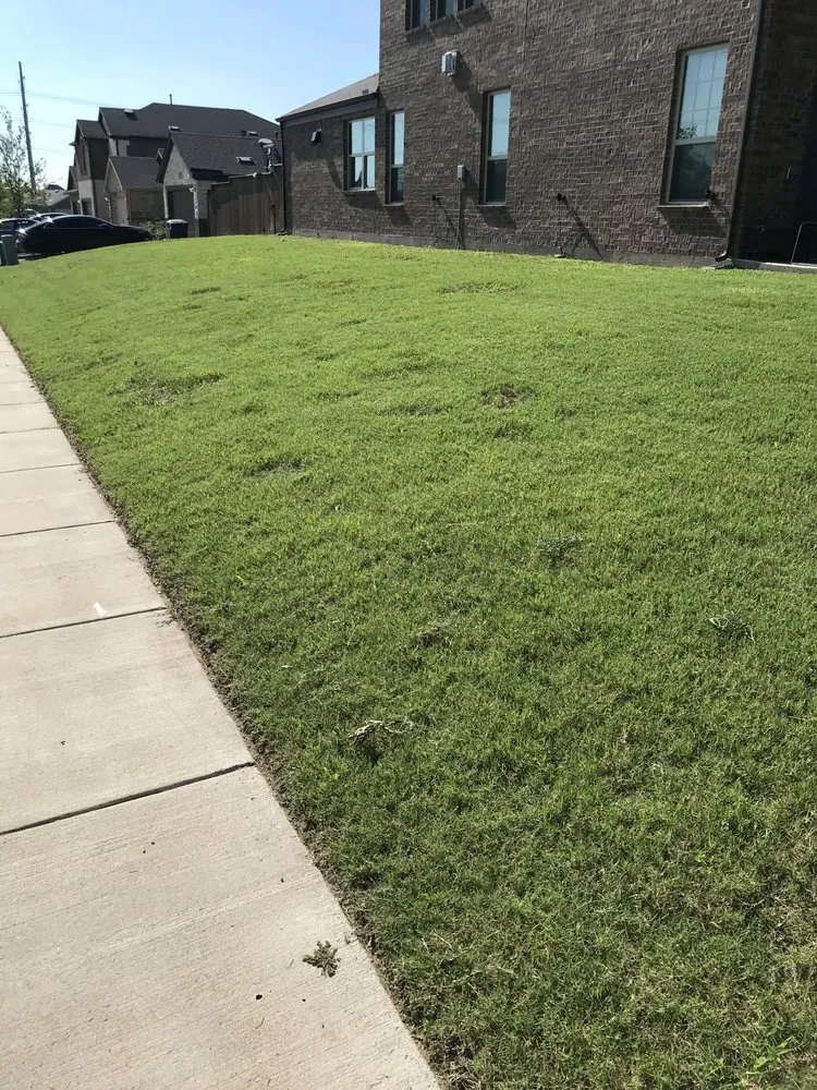 Reliable yard cleanup service near you across McKinney, TX - Gonzalez Lawn Care