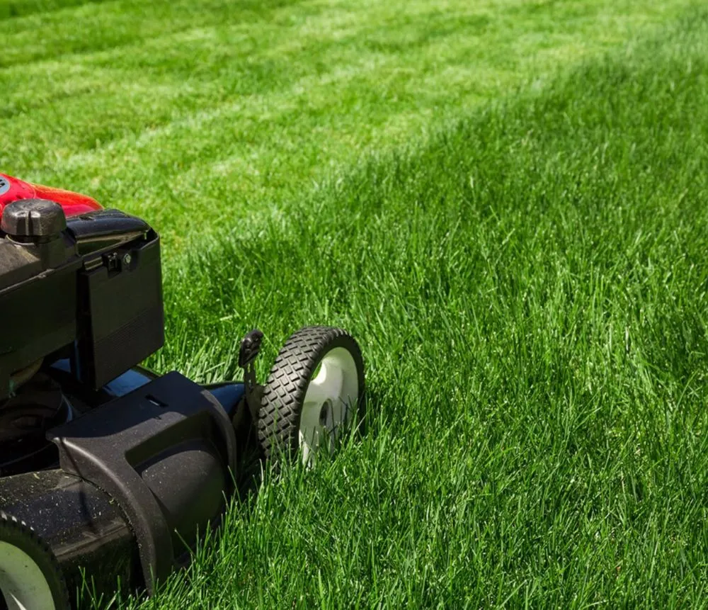 Affordable landscape installation in West Valley City, UT by Gonzalez Lawn care