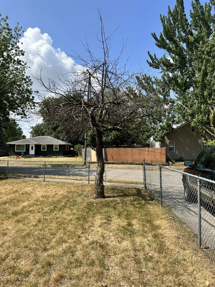 Reliable outdoor landscaping for homes across Grand Rapids, MI - Gonzalez Lawn Impressions