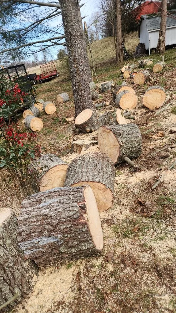 Trusted yard maintenance near you in Stanardsville, VA by Gonzalez Lawn Mowing