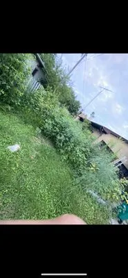 Gonzalez Lawncare & Outdoor Services Logo