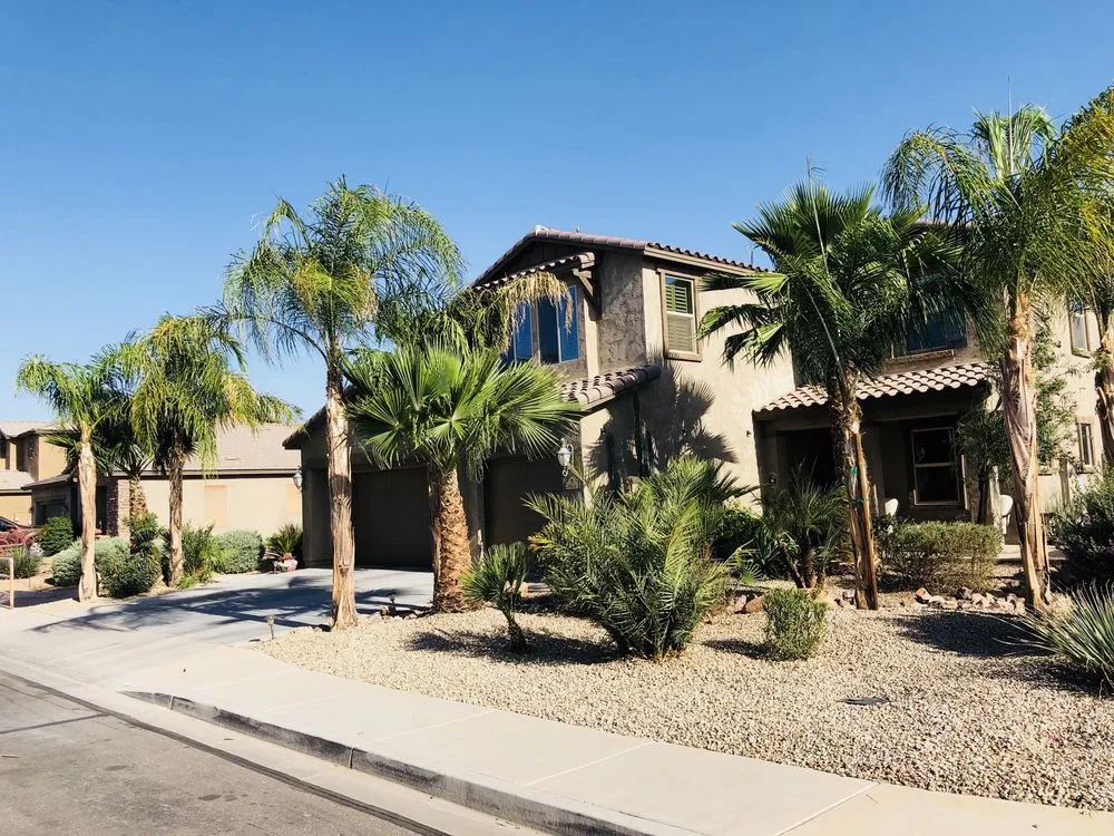 Expert yard cleanup service in Maricopa, AZ - Gonzalez Lucio Landscaping