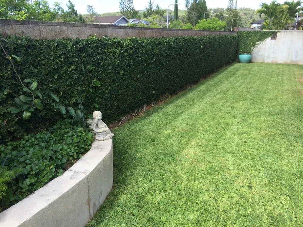 Expert lawn mowing service for year-round maintenance in Honolulu, HI by Gonzalez Maintenance