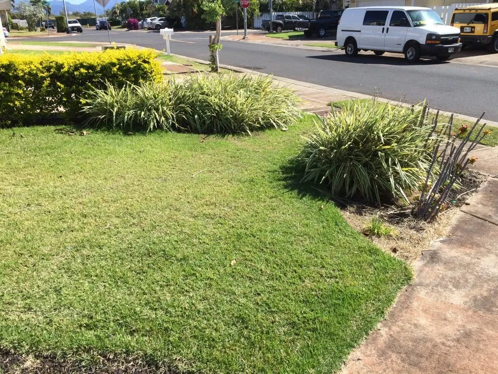 Custom landscaping services with custom design in Honolulu, HI by Gonzalez Maintenance