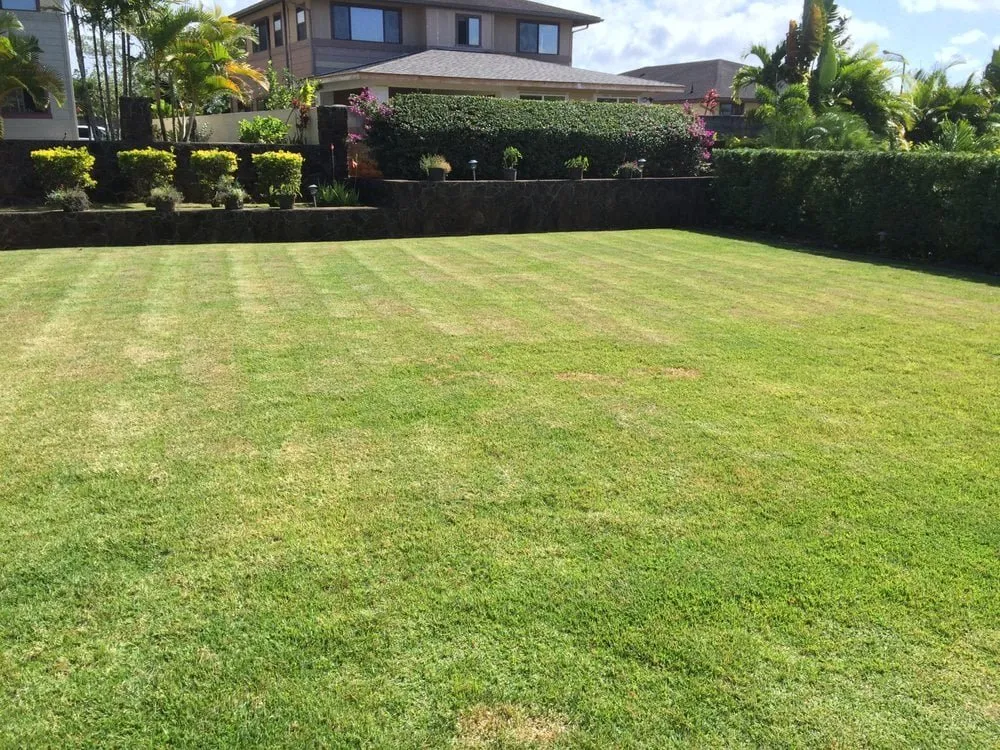 Top-rated landscape installation experts serving Honolulu, HI - Gonzalez Maintenance