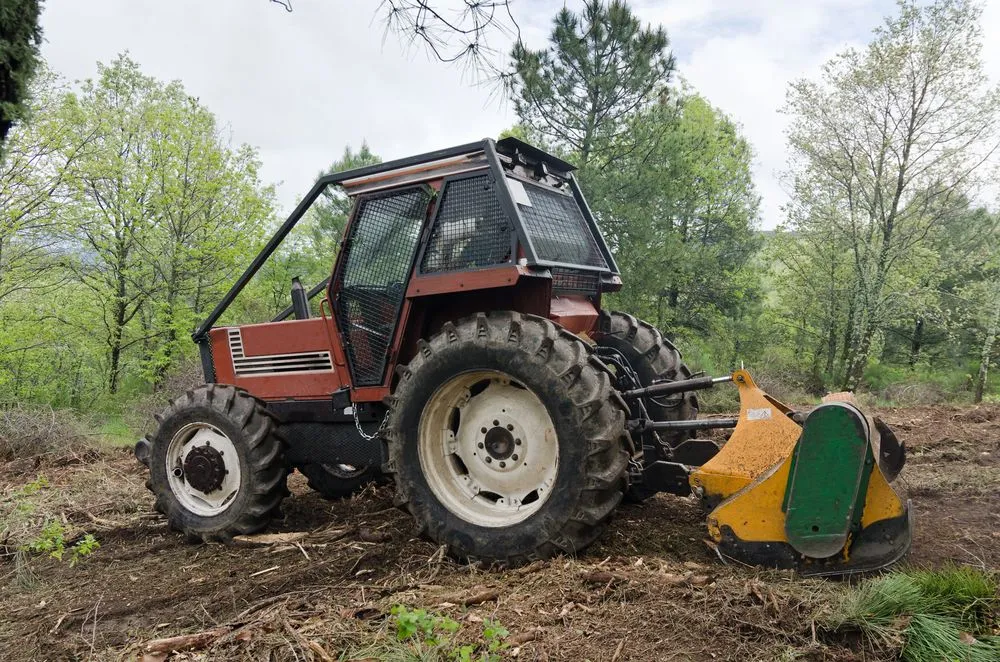 Custom yard cleanup service in Spring, TX - Gonzalez Make Ready Service Landscaping