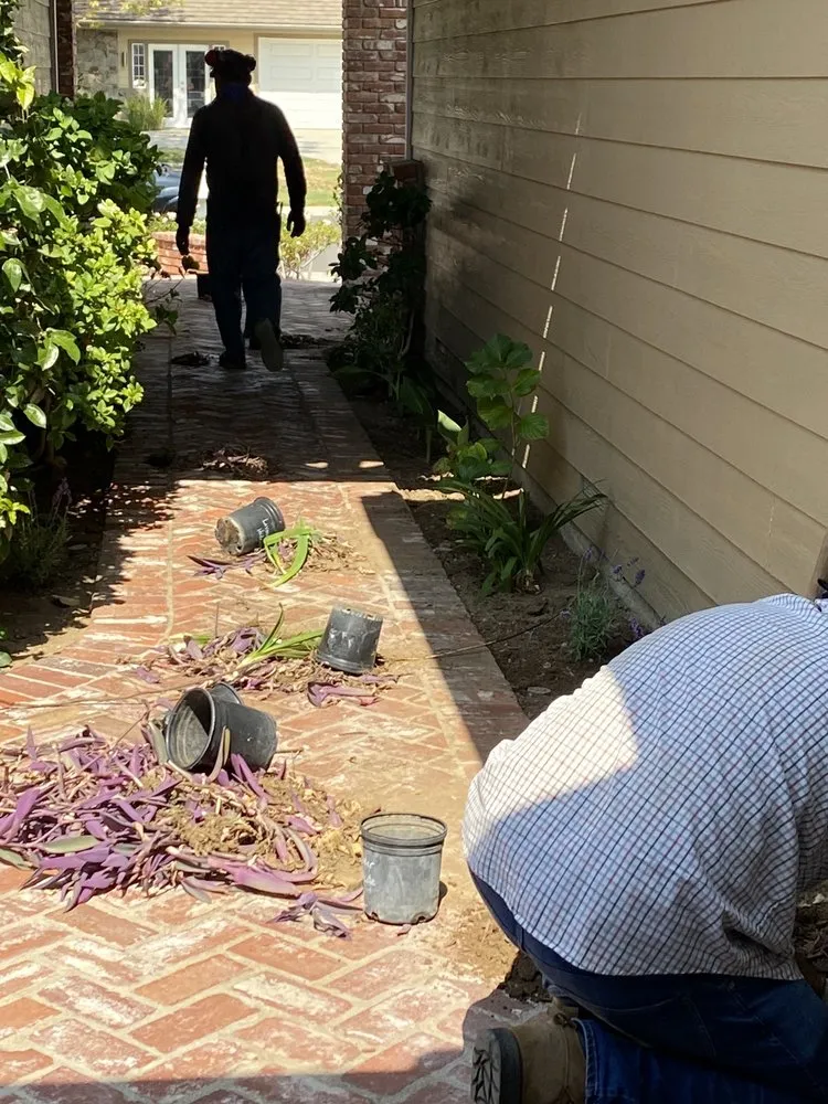 Affordable yard cleanup service in Santa Ana, CA by Gonzalez Misael Landscaping