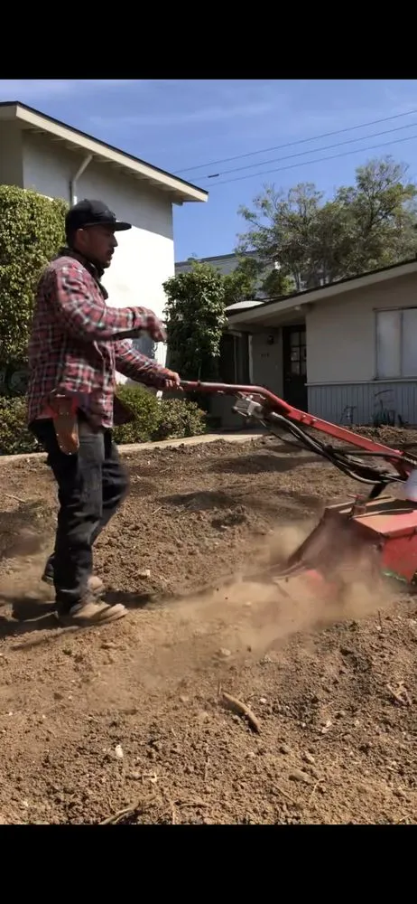 Trusted yard cleanup service in Santa Ana, CA - Gonzalez Misael Landscaping