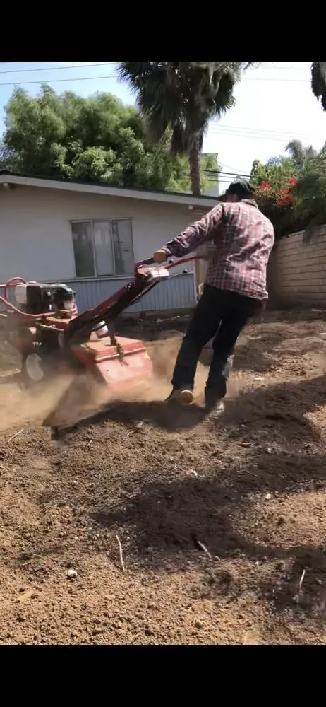 Affordable landscape design in Santa Ana, CA by Gonzalez Misael Landscaping