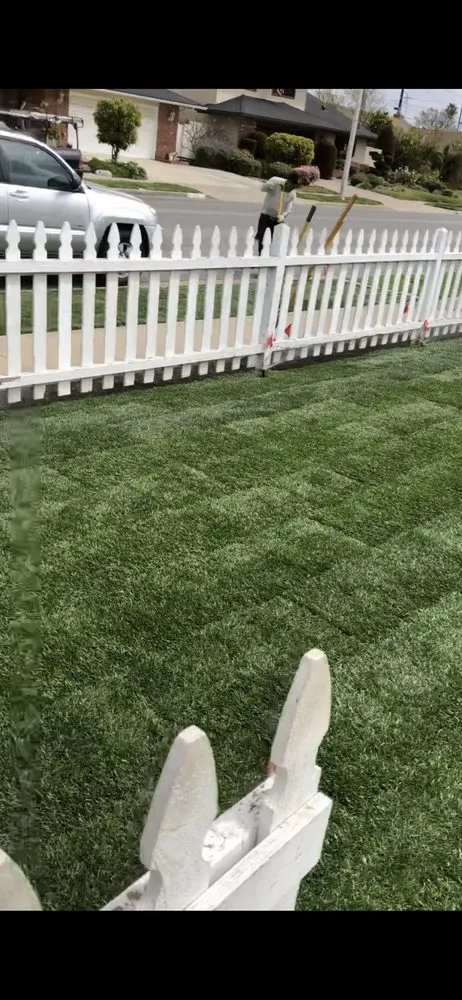 Affordable yard cleanup service for residential properties across Santa Ana, CA - Gonzalez Misael Landscaping