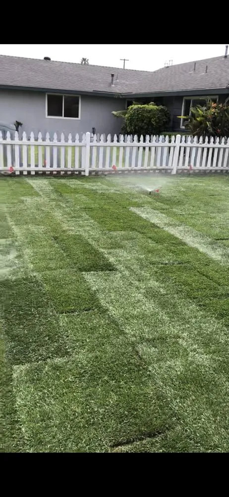 Reliable yard cleanup service for beautiful yards in Santa Ana, CA by Gonzalez Misael Landscaping