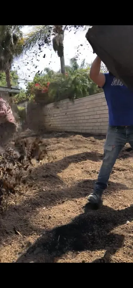 Top-rated yard maintenance experts serving Santa Ana, CA - Gonzalez Misael Landscaping