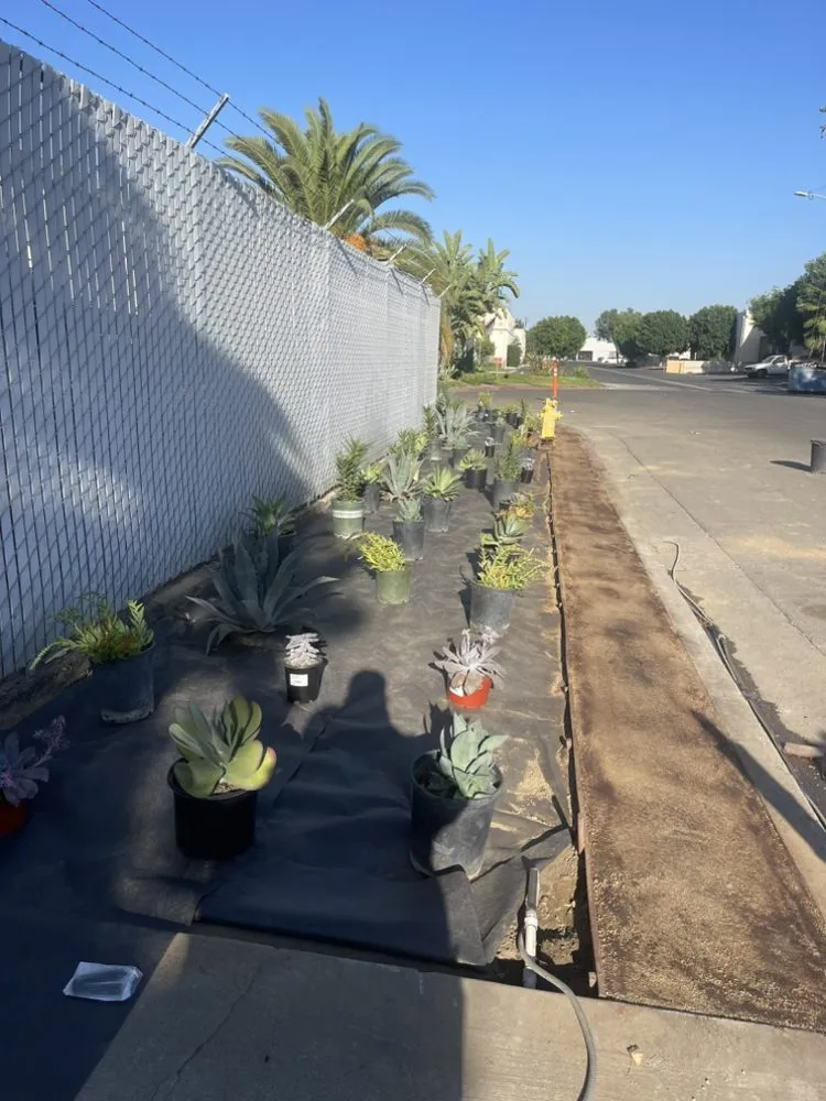 Reliable garden landscaping experts serving Santa Ana, CA - Gonzalez Misael Landscaping