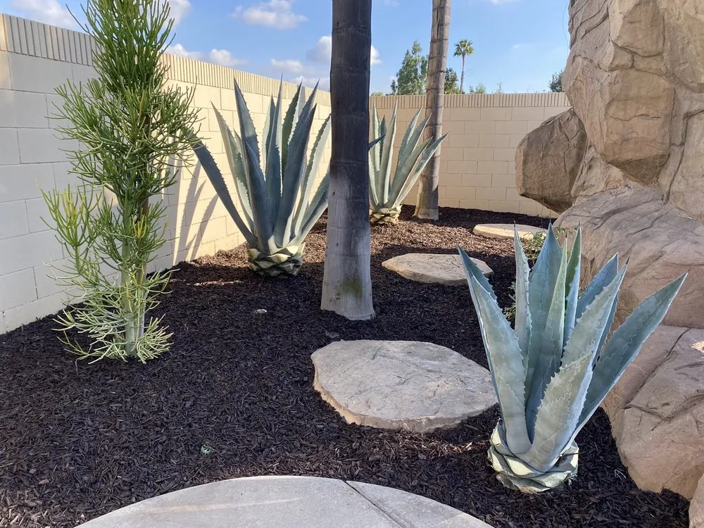 Expert garden landscaping in Santa Ana, CA - Gonzalez Misael Landscaping