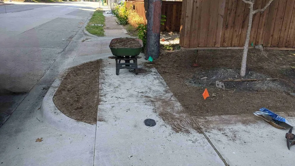 Professional garden landscaping in Dallas, TX by Gonzalez Professional Landscaping Services.