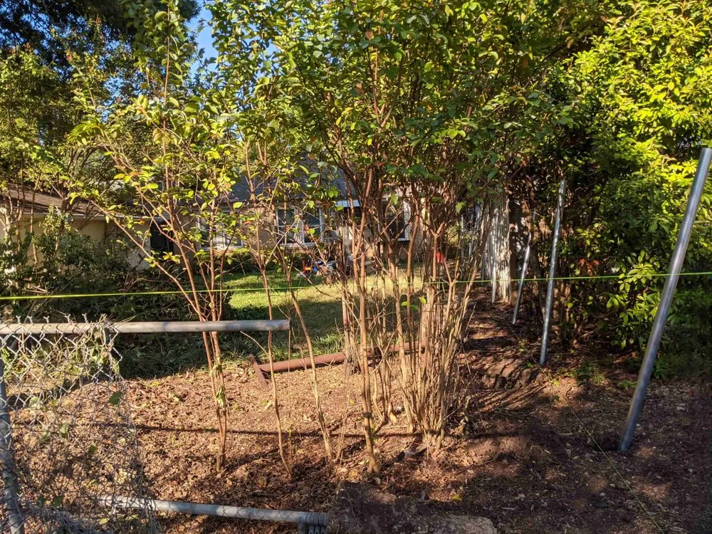 Custom yard maintenance for outdoor upgrades across Dallas, TX - Gonzalez Professional Landscaping Services.