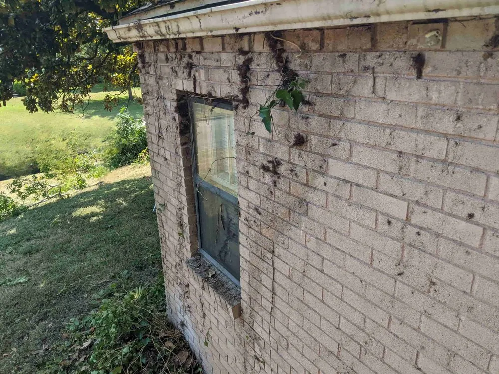 Custom outdoor landscaping in Dallas, TX - Gonzalez Professional Landscaping Services.