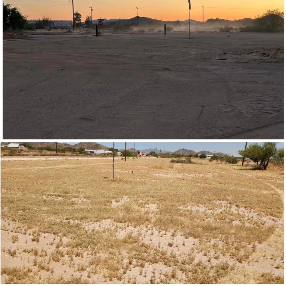 Trusted yard maintenance experts serving Maricopa, AZ - Gonzalez Tractor Services