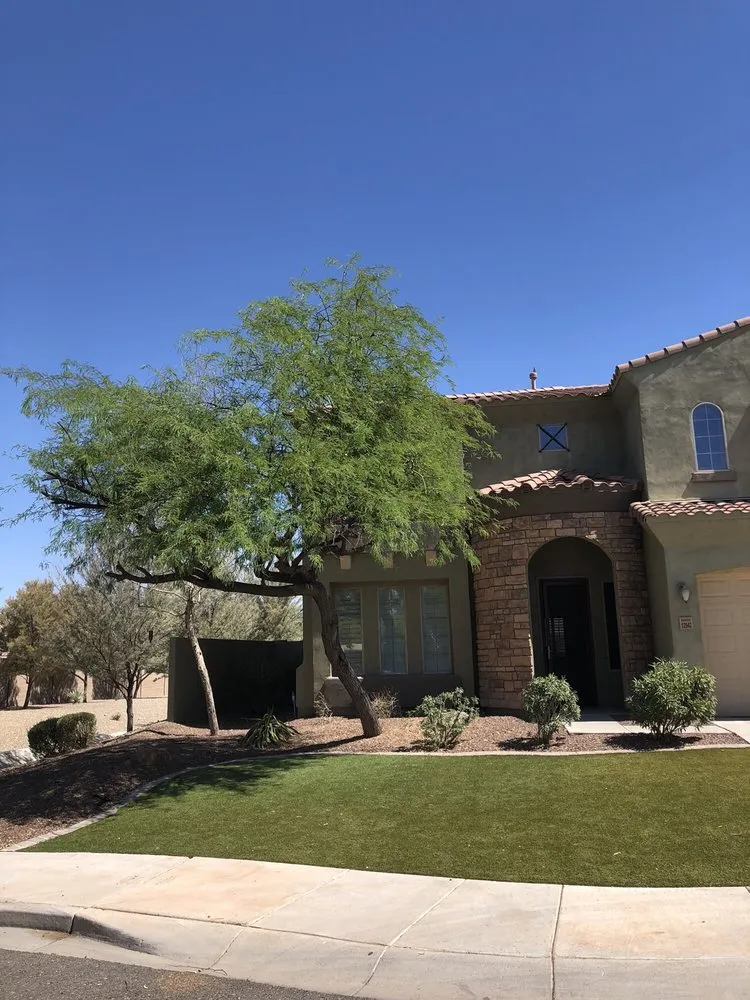 Expert residential landscaping in Phoenix, AZ - Gonzalez Tree & Palm Tree Trimming Service