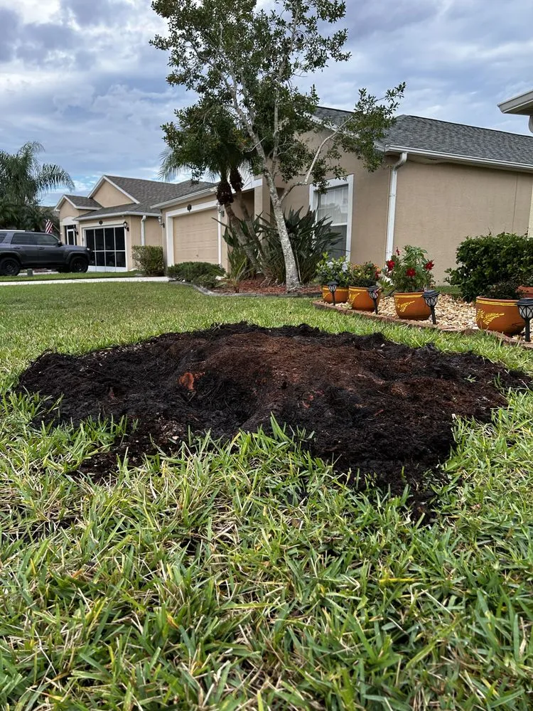 Custom outdoor landscaping in Palm Bay, FL - Gonzalez tree service & landscape