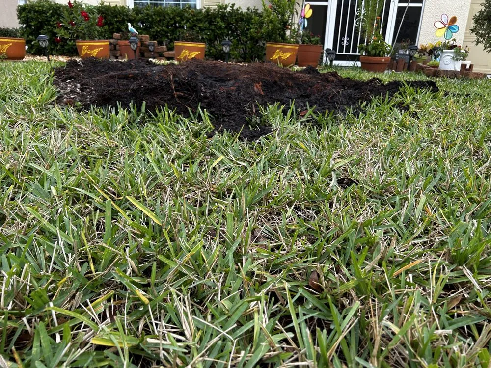 Trusted landscape design in Palm Bay, FL by Gonzalez tree service & landscape