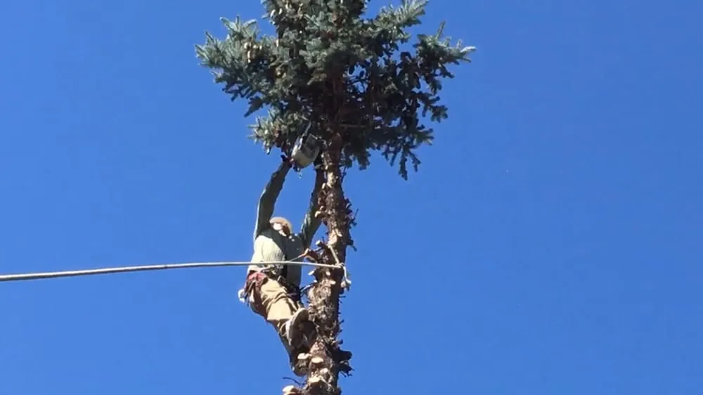 Custom outdoor landscaping near you across Yakima, WA - Gonzalez Tree Service