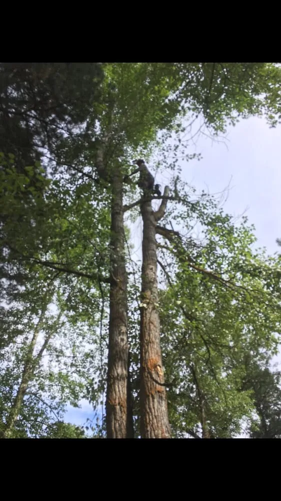 Affordable outdoor landscaping for homes in Yakima, WA by Gonzalez Tree Service