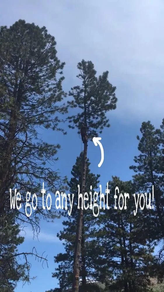 Top-rated landscape installation for year-round maintenance across Yakima, WA - Gonzalez Tree Service