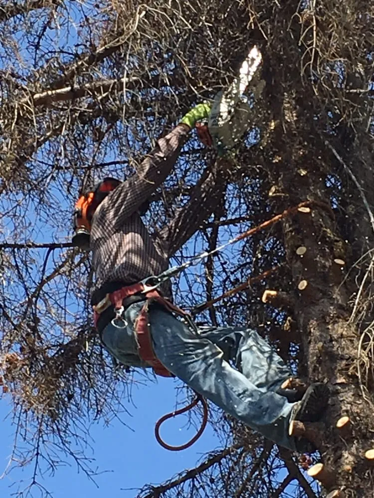 Custom residential landscaping experts serving Yakima, WA - Gonzalez Tree Service