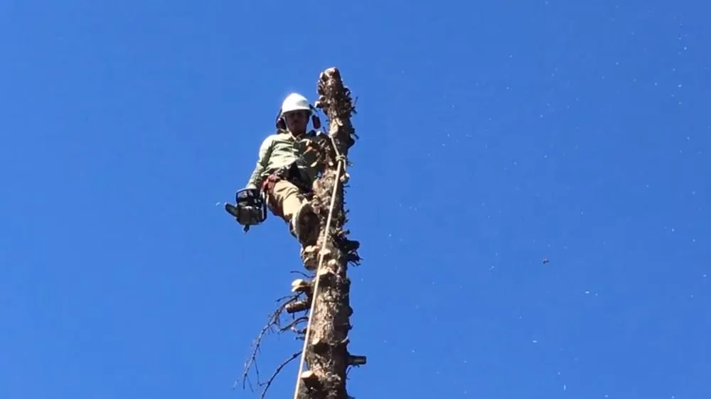 Trusted landscape design for homes across Yakima, WA - Gonzalez Tree Service