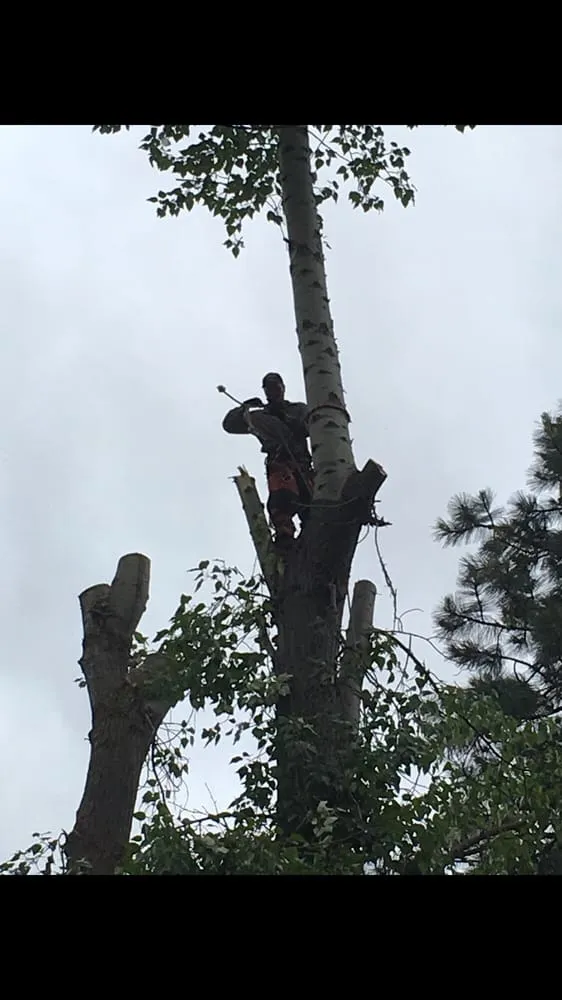 Trusted lawn mowing service for homes across Yakima, WA - Gonzalez Tree Service