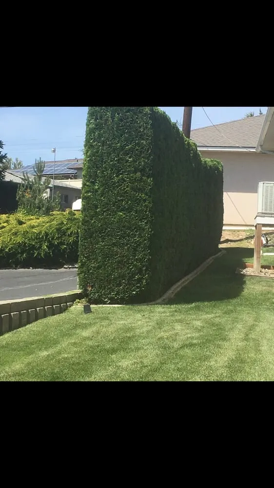 Affordable landscaping services for homes across Yakima, WA - Gonzalez Tree Service