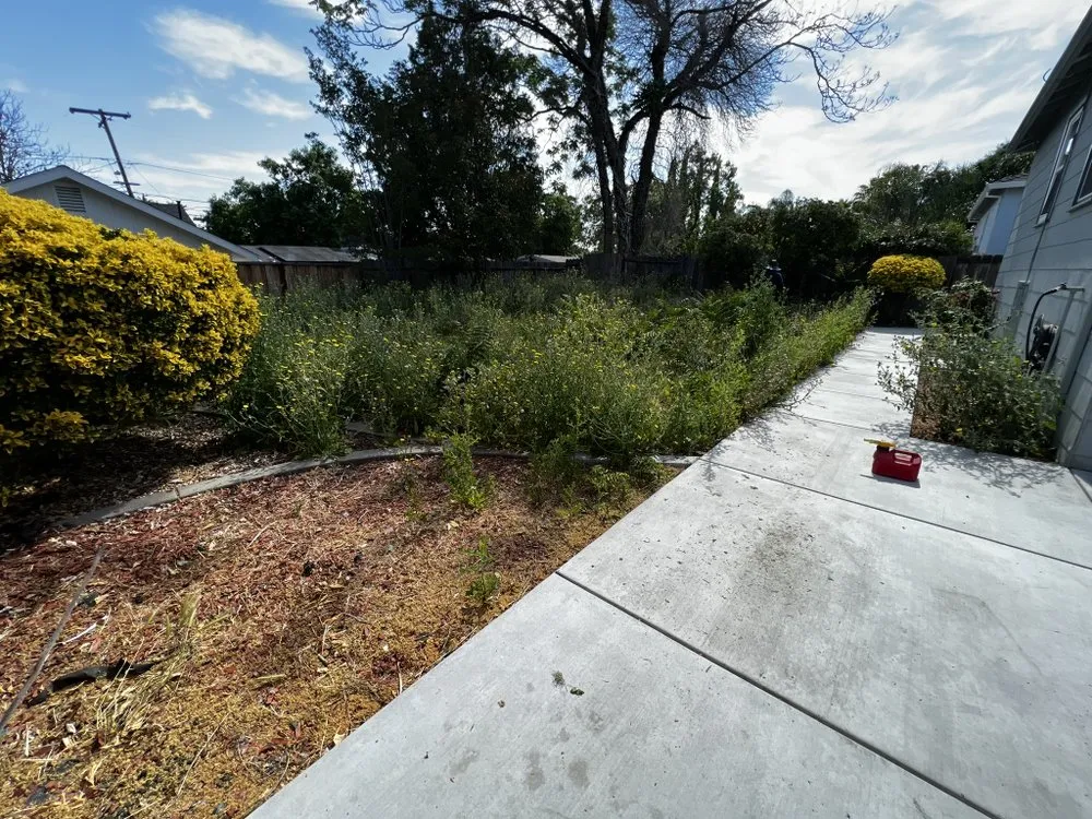 Expert lawn mowing service experts serving Concord, CA - Gonzalez Yard Care