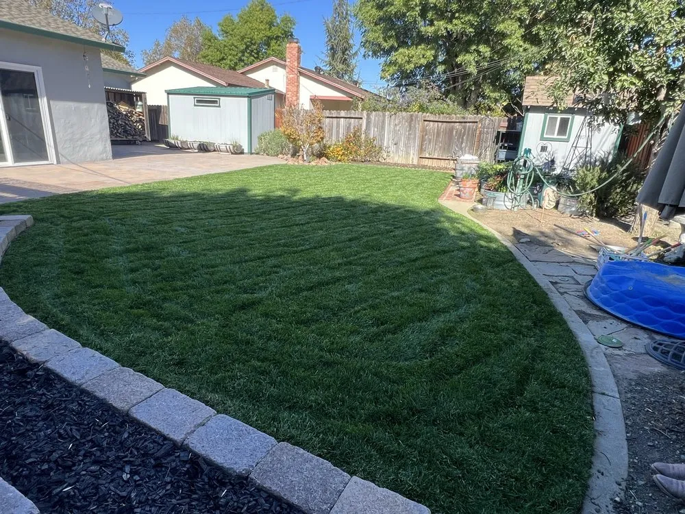 Expert lawn mowing service experts serving Concord, CA - Gonzalez Yard Care