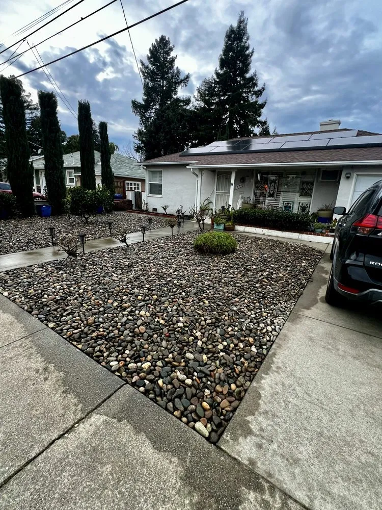 Top-rated yard cleanup service for residential properties in Concord, CA by Gonzalez Yard Care