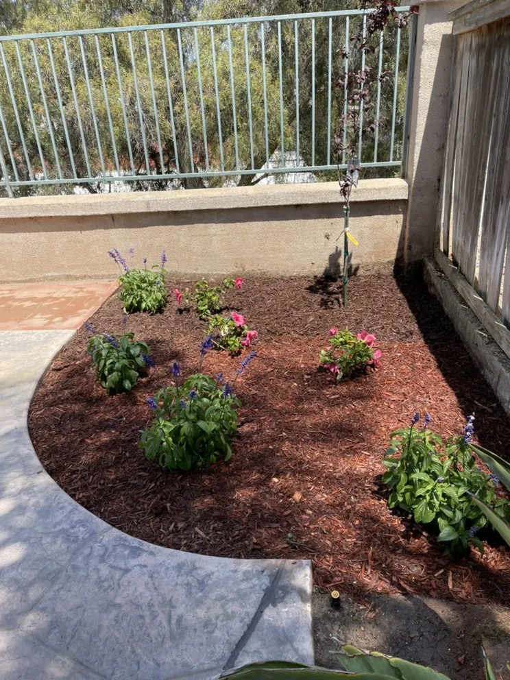 Professional landscape design for residential properties across Escondido, CA - Gonzalez’s Tree Services And Landscaping