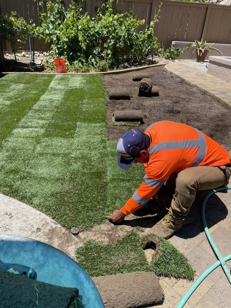 Custom landscape installation in Escondido, CA - Gonzalez’s Tree Services And Landscaping