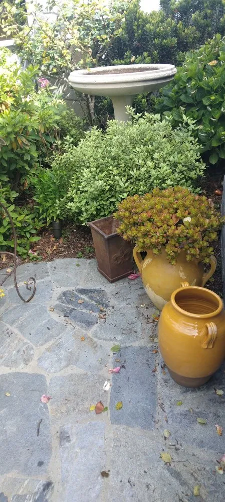 Trusted garden landscaping in Inglewood, CA - Gonzalo and Sons