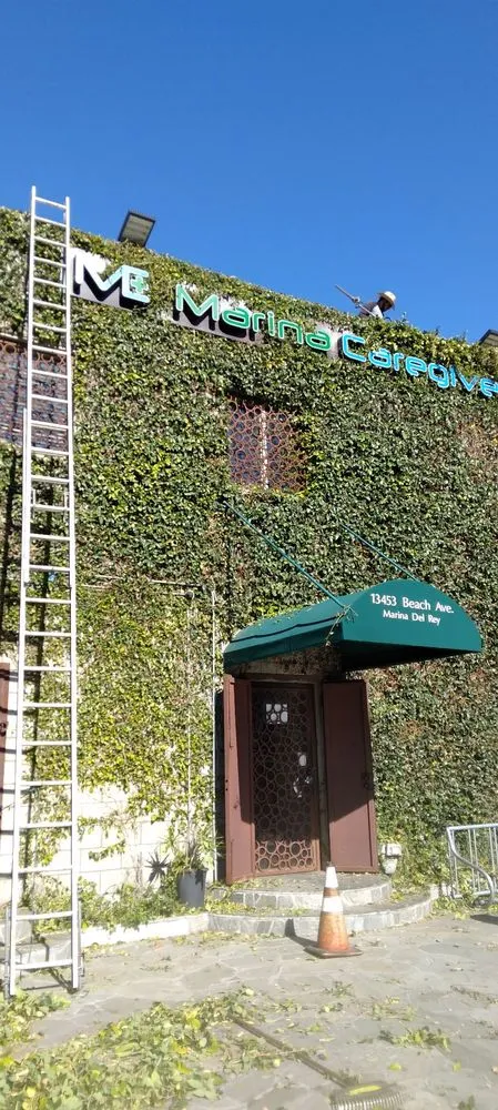 Trusted lawn care service experts serving Inglewood, CA - Gonzalo and Sons