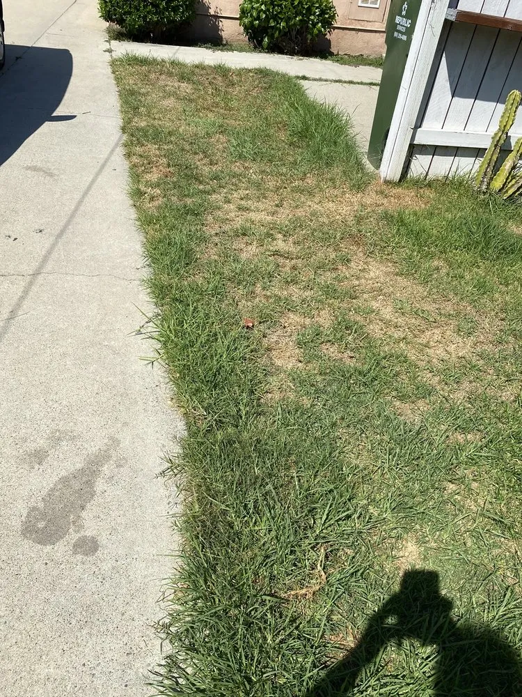 Trusted yard maintenance experts serving Inglewood, CA - Gonzalo and Sons